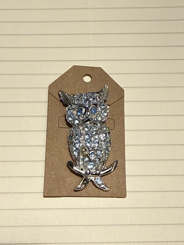 Blue Rhinestone Owl Pin
