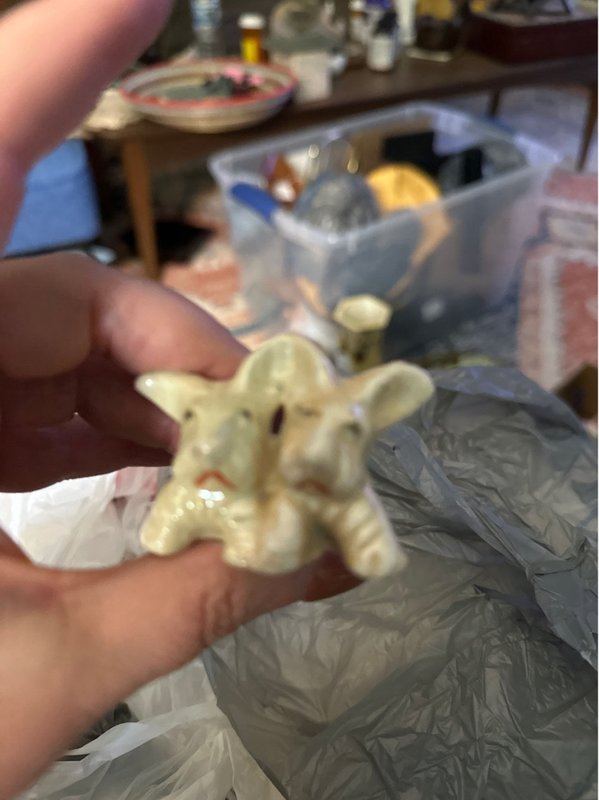 Puppies, tiny