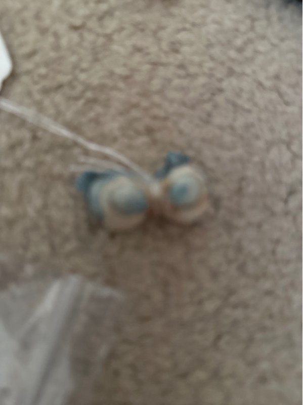 two tiny birds
