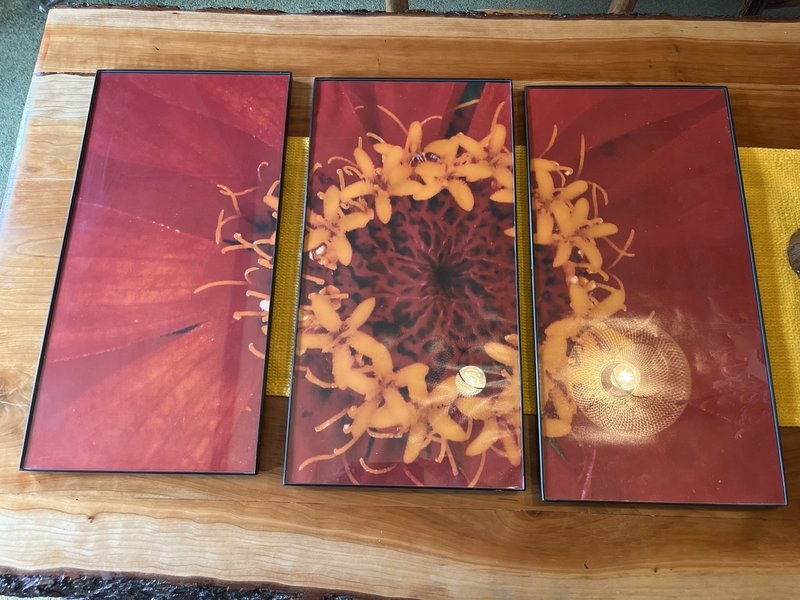 Framed Floral Triptych