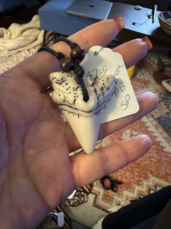 shark tooth necklace