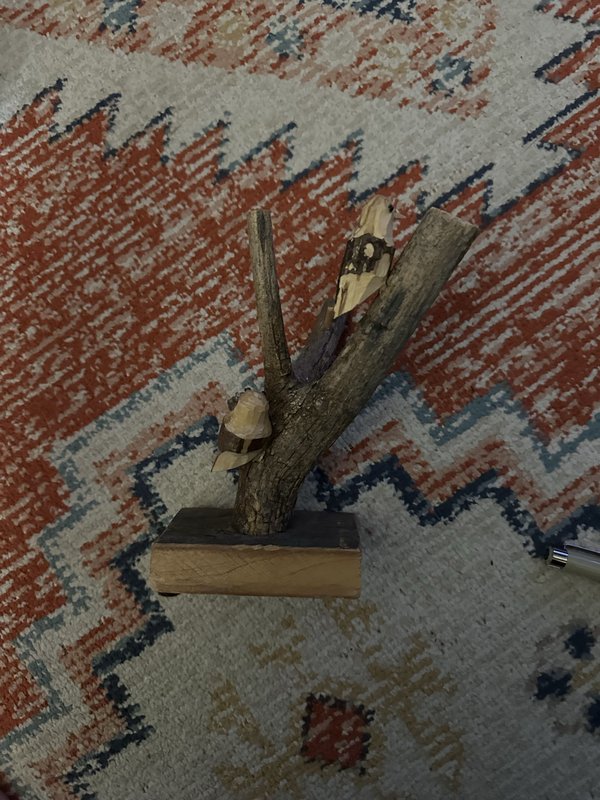 carved birds in tree