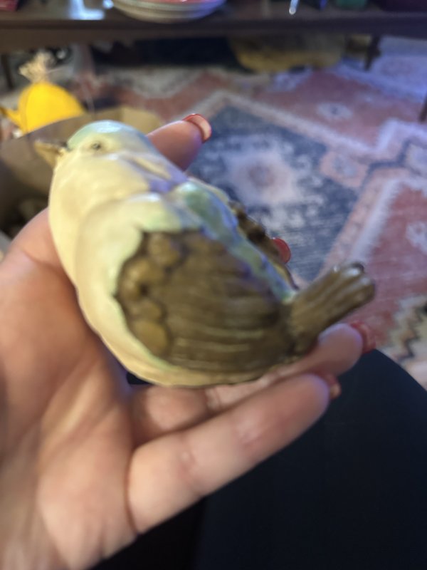 pudgy bird