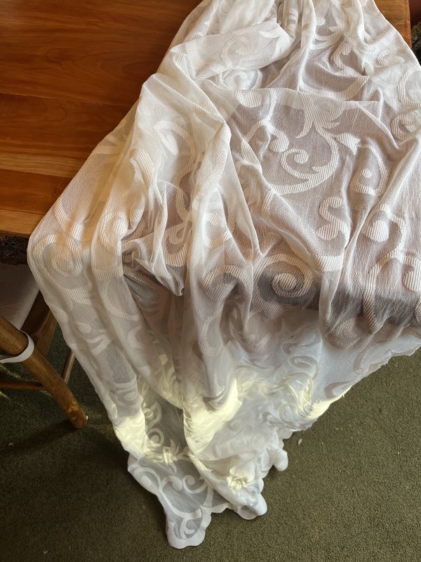 Vintage Sheer tablecloth