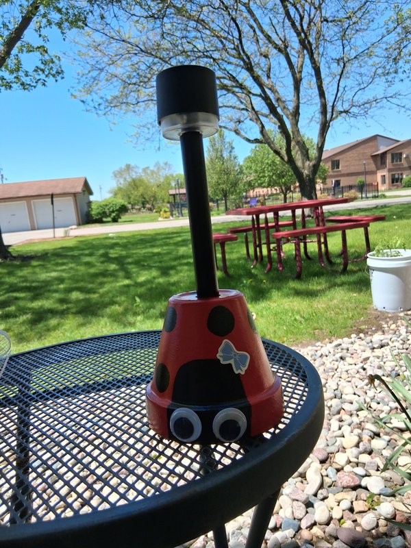 Ladybug Light