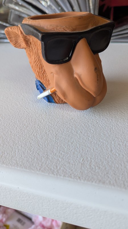 Camel Beer Can Holder/Pen Cup