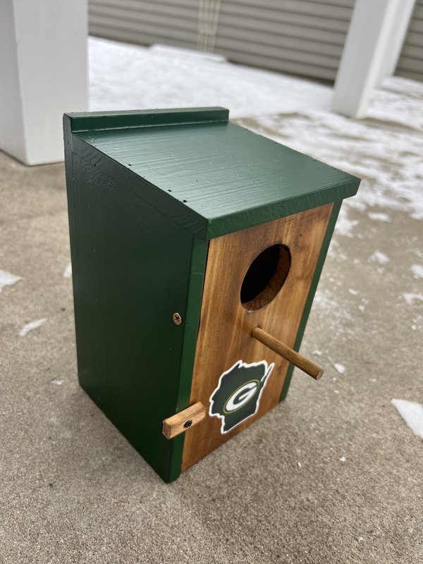 Painted Green Bay Packers Birdhouse