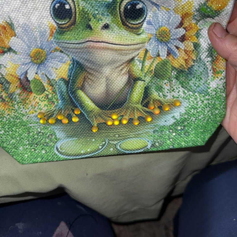 Embellished Frog Daisy Tote Bag