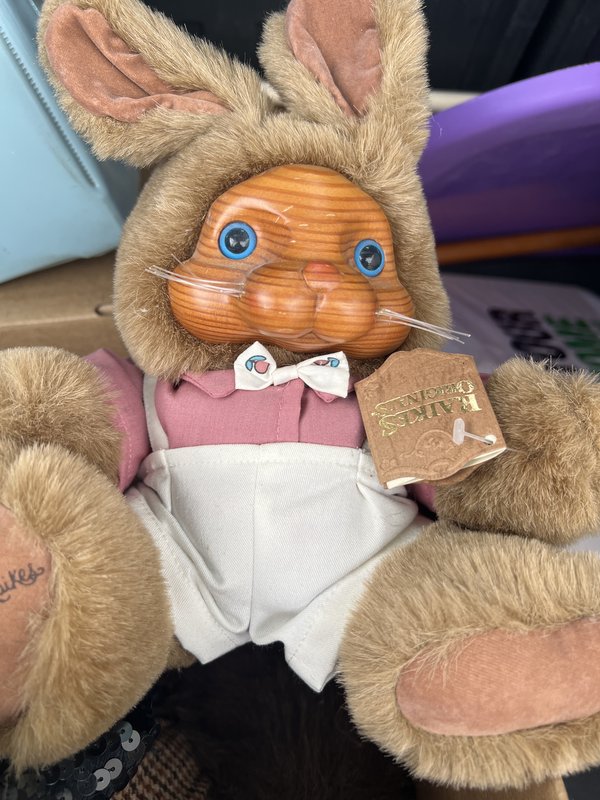 R. Raikes Boy Bunny