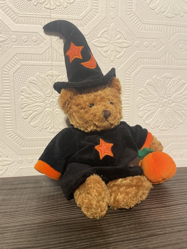 Halloween Witch Teddy Bear Plush