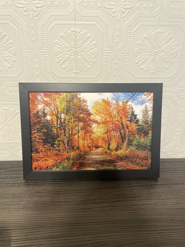 Autumn Forest Path Photo