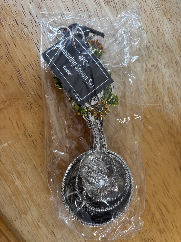 4 Piece Measuring Spoons