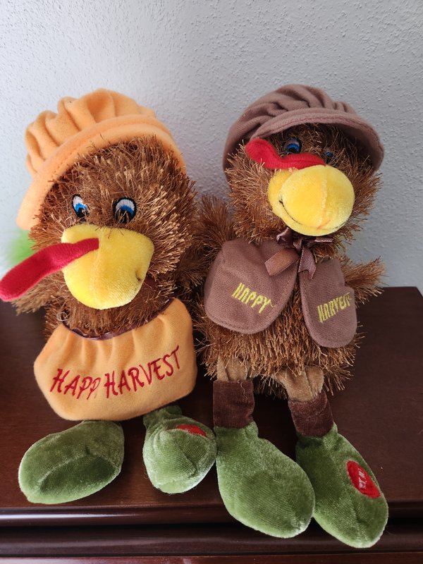 Turkey, 2pc stuffed set