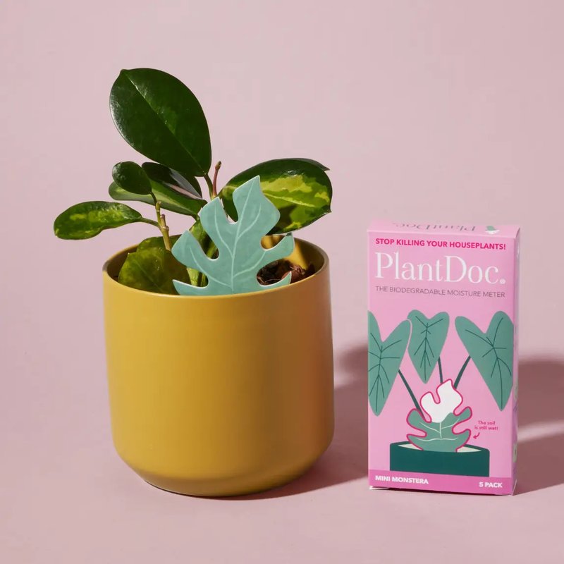 Monstera PlantDoc: Color-Change Plant Moisture Indicator