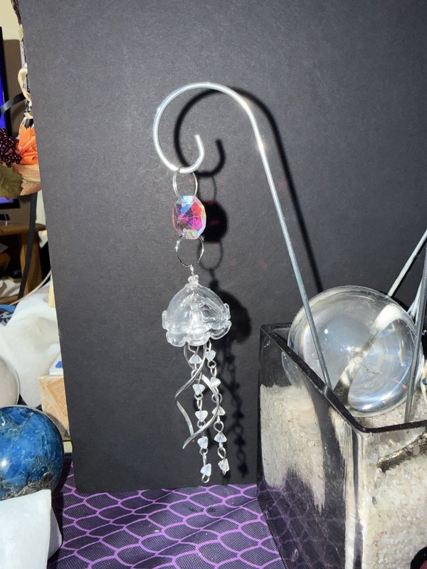 PIYP crystal and jellyfish