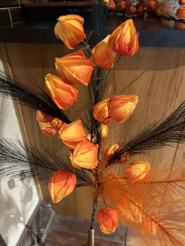 Artificial Orange lantern Stem with Feathers