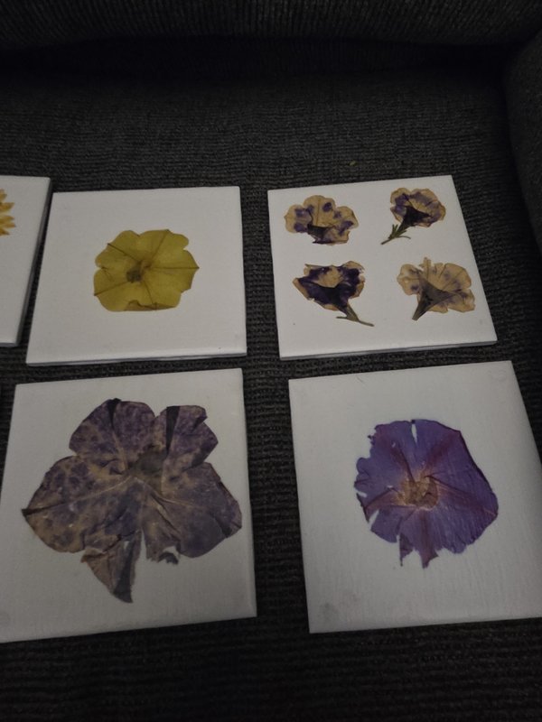 Ceramic trivet/coaster with pressed flowers