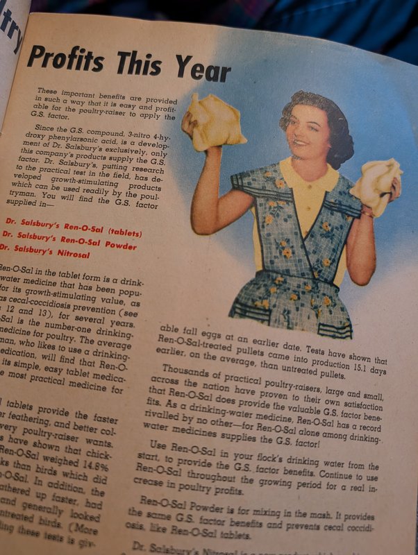 1951 Dr. Salisbury Poultry Health Messenger