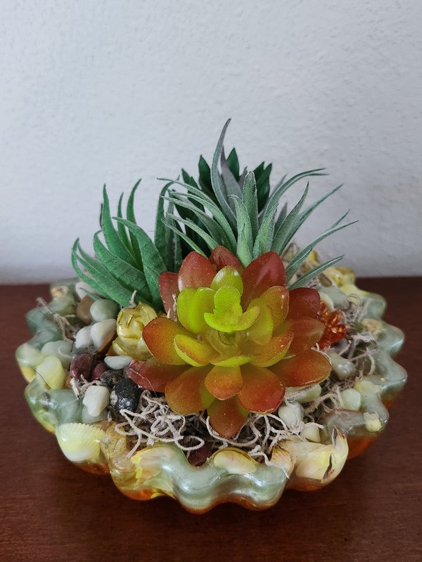 Green edge bowl, succulents
