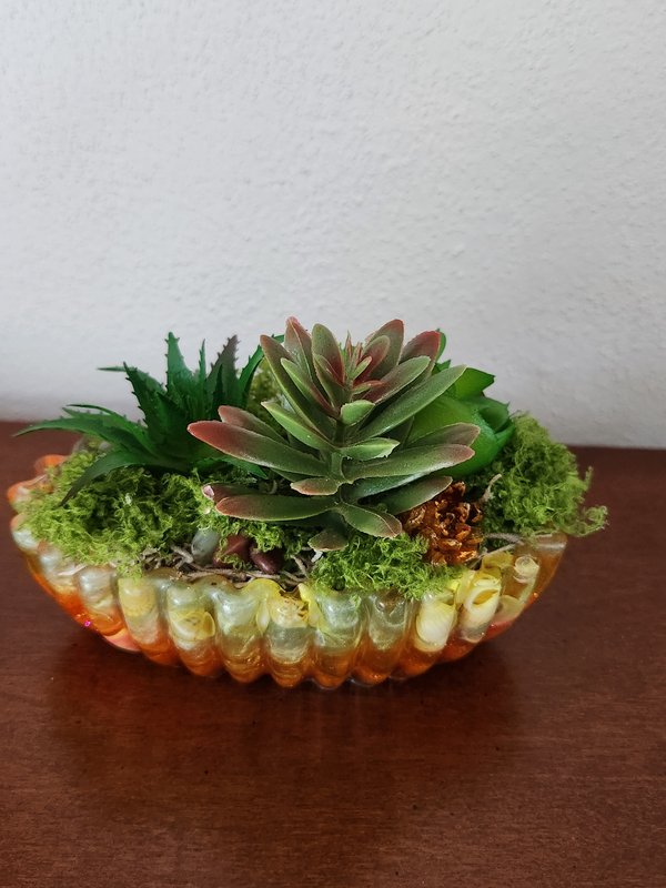 Small oval dish succulents